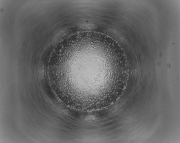 X0000072530647200607141203