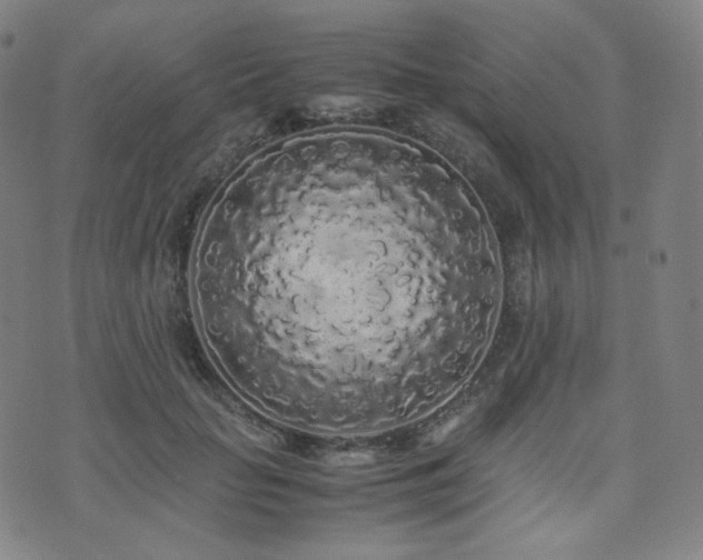 X0000072530653200607141203
