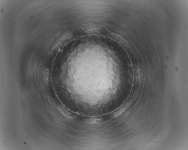 X0000072530664200607141204