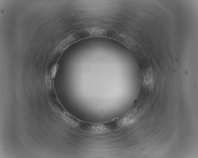 X0000072530666200607141204
