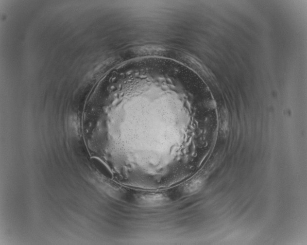 X0000072530669200607141204