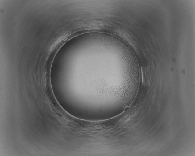 X0000072530675200607141203