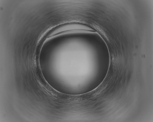 X0000072530676200607141203