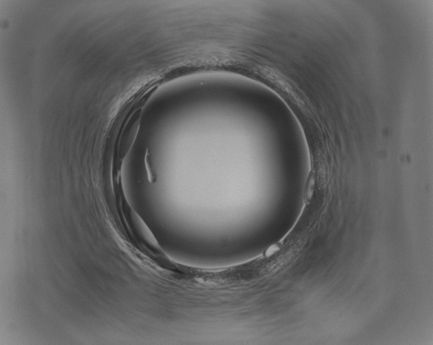 X0000072530677200607141203