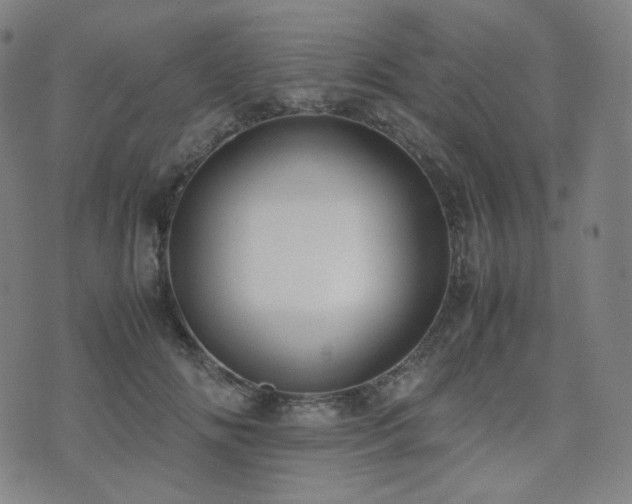 X0000072530702200607141203