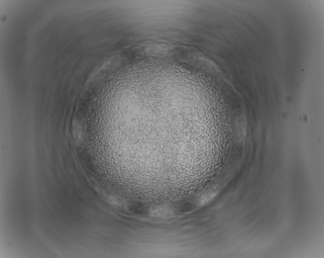 X0000072530705200607141202