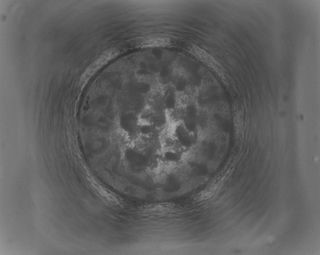 X0000072530721200607141201