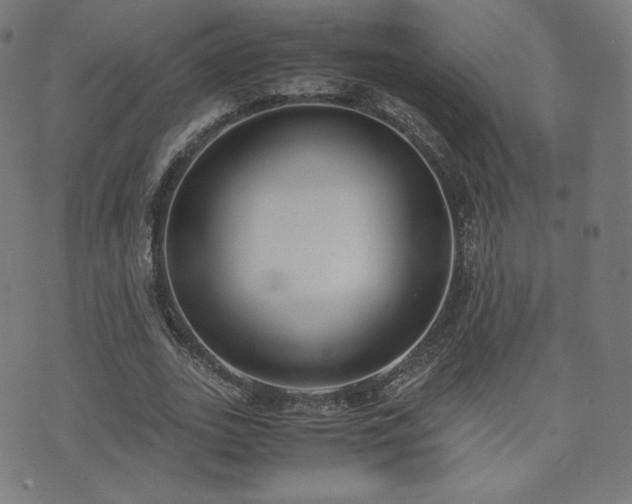 X0000072530727200607141202