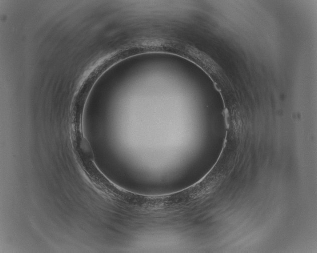 X0000072530728200607141202