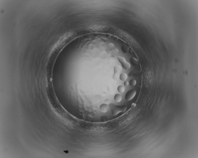 X0000072530734200607141202