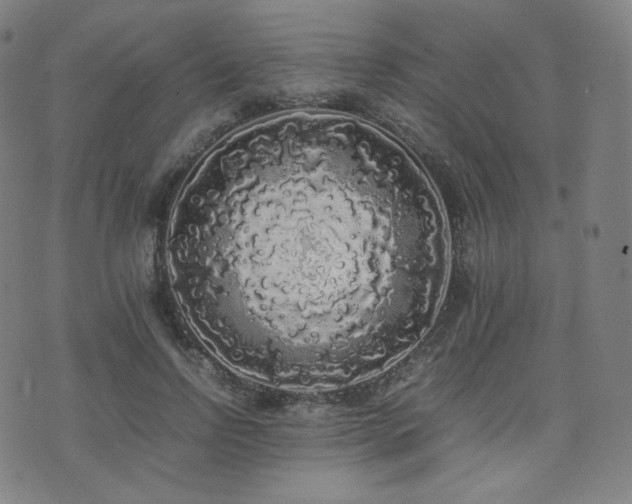 X0000072530742200607141202