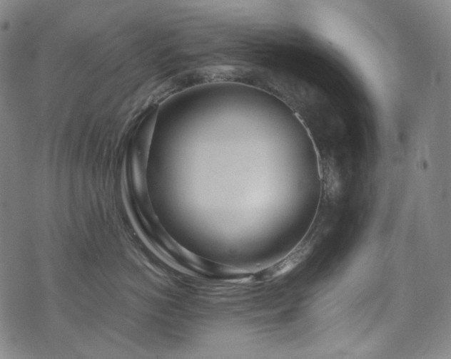 X0000072530766200607141202