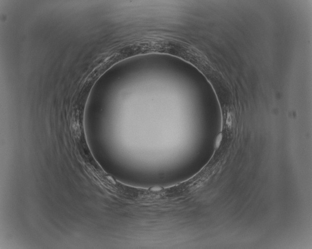 X0000072530771200607141201