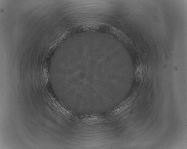 X0000072530772200607141201
