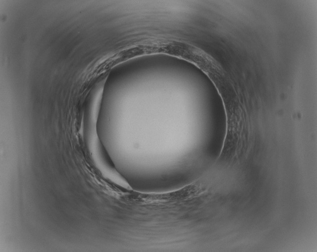 X0000072530773200607141201