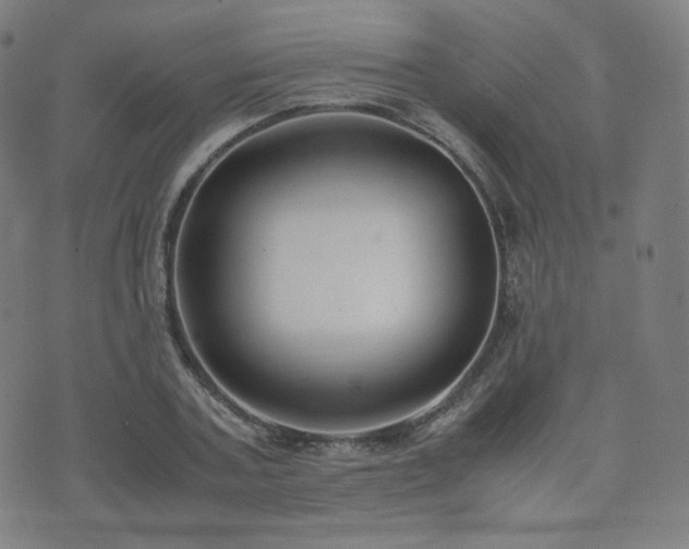 X0000072530787200607141201