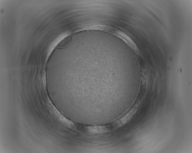 X0000072530804200607141201