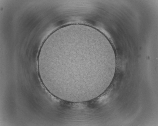 X0000072530807200607141201