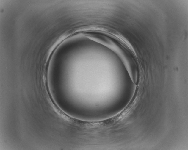 X0000072530813200607141201