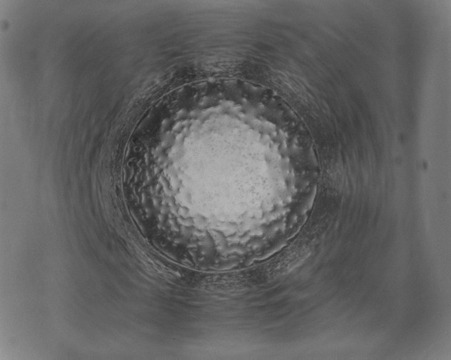 X0000072530817200607141200