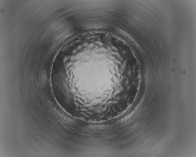 X0000072530825200607141200