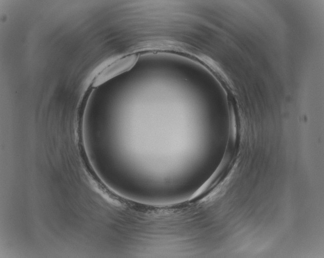 X0000072530846200607141200