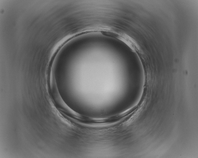 X0000072530854200607141200
