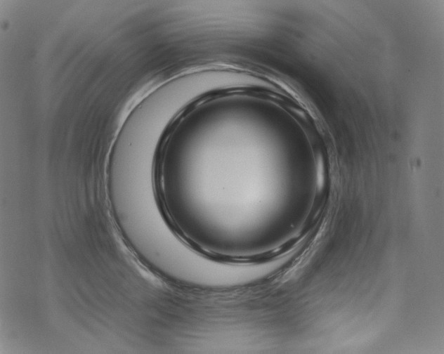 X0000072530858200607141201