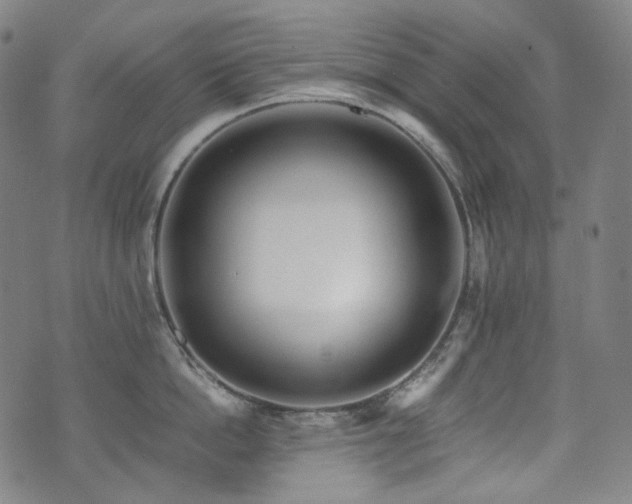 X0000072530862200607141201