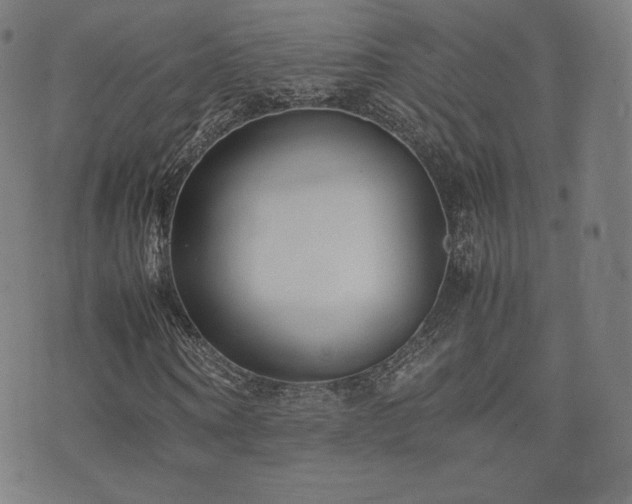 X0000072530866200607141200