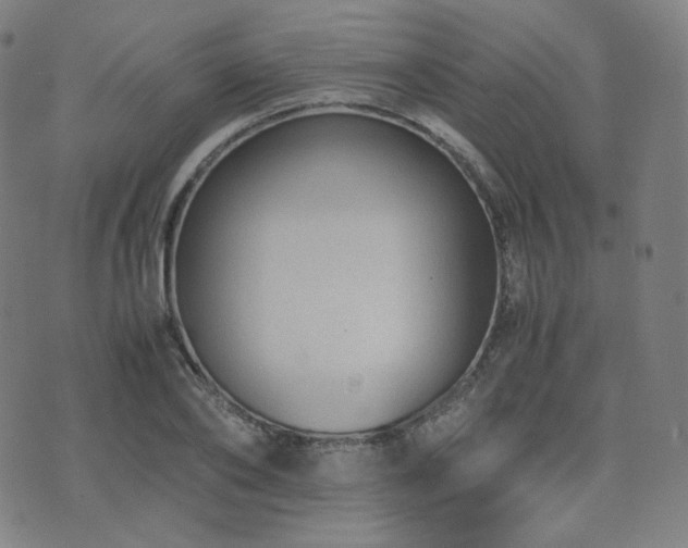X0000072530886200607141159