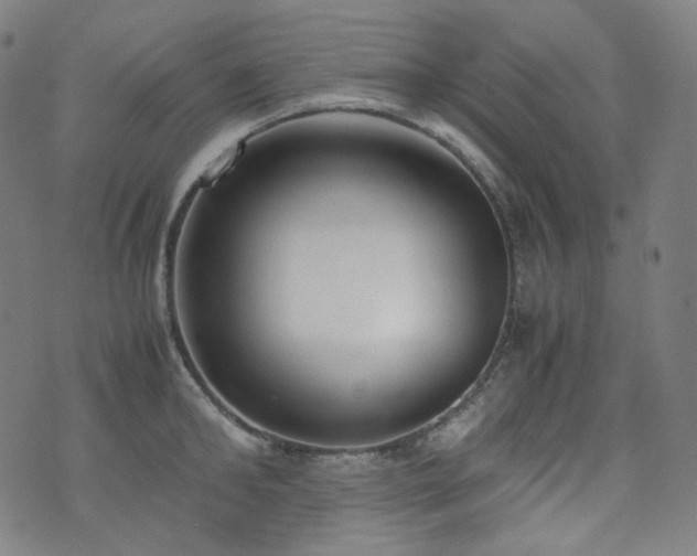 X0000072530902200607141159