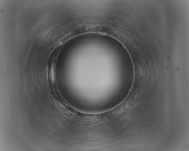 X0000072530914200607141158