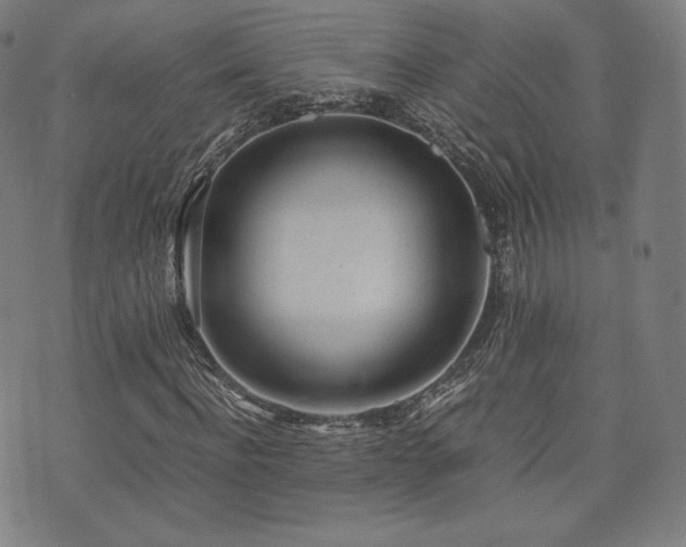 X0000072530916200607141158