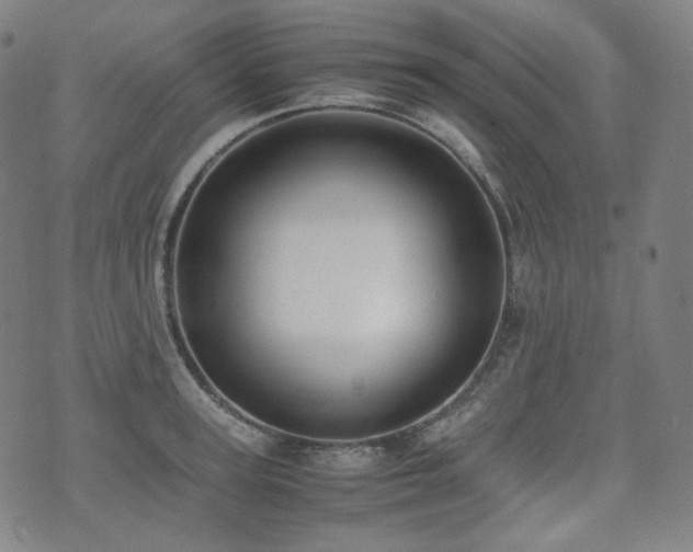 X0000072530947200607141159