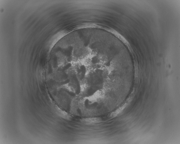 X0000072530953200607141159