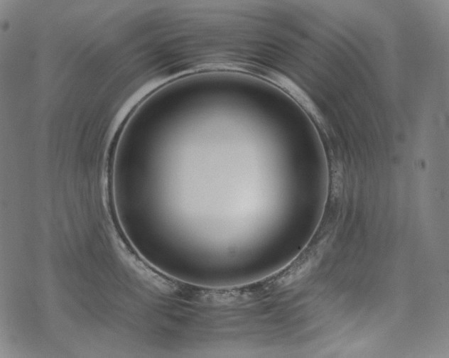 X0000072530955200607141159