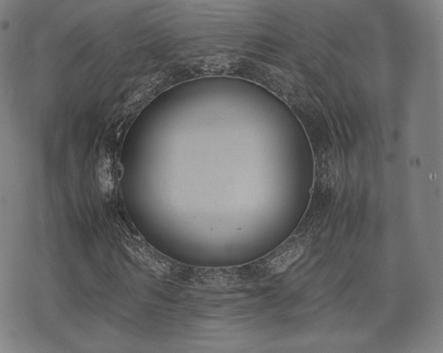 X0000072530962200607141158