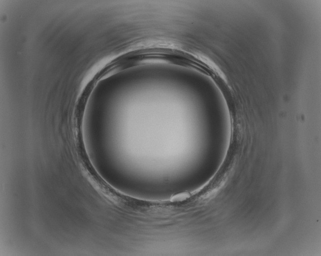 X0000072530981200607141158