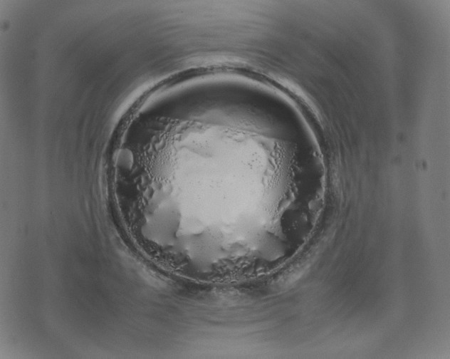 X0000072530983200607141158