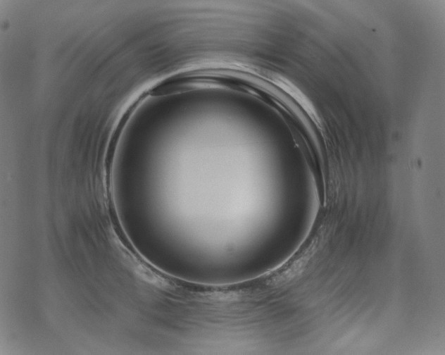 X0000072530996200607141158