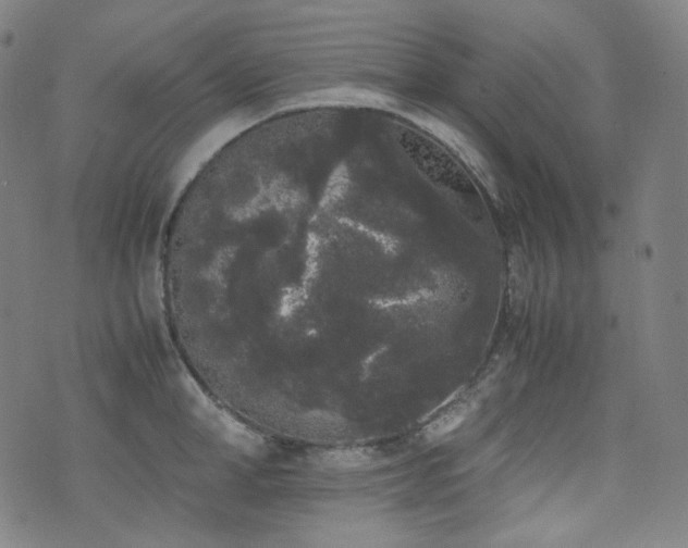 X0000072530998200607141158