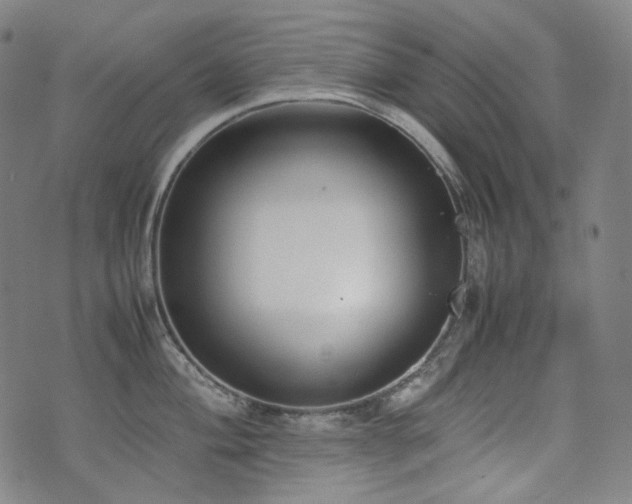 X0000072531004200607141158