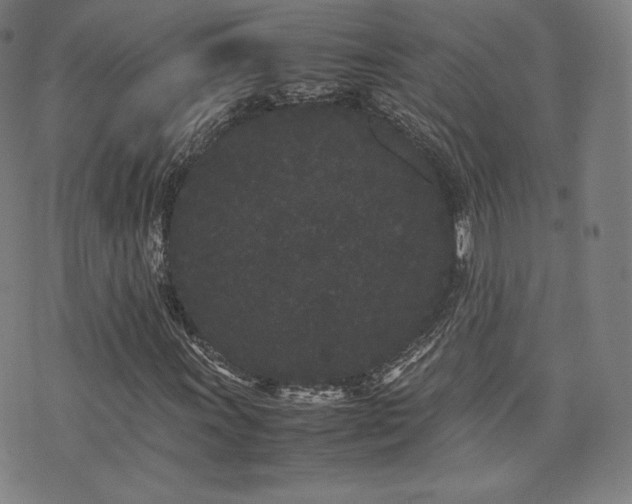 X0000072531011200607141157