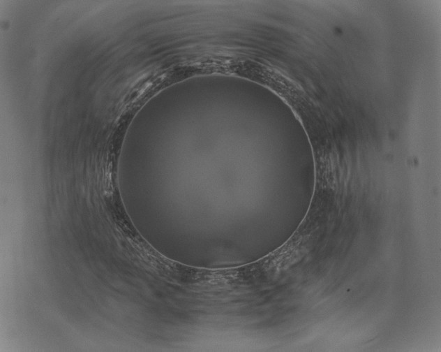 X0000072531013200607141157