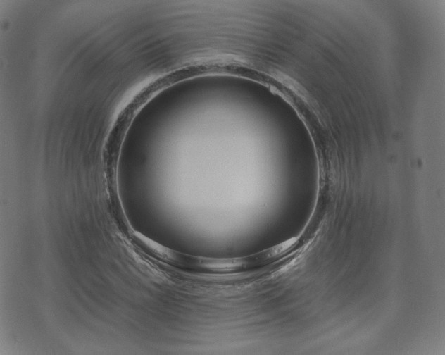 X0000072531022200607141157