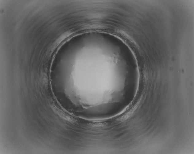 X0000072531025200607141157