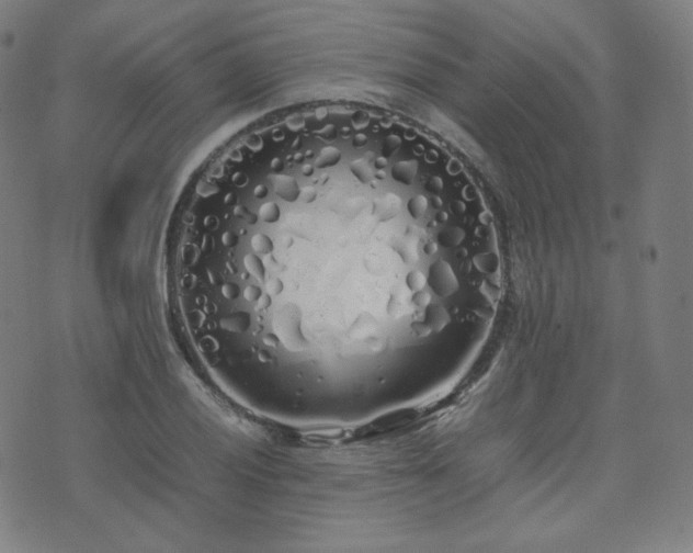 X0000072531028200607141157