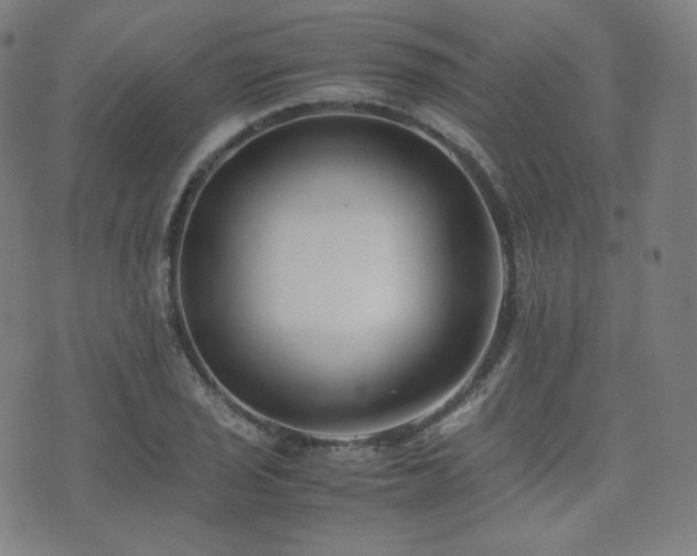 X0000072531029200607141157