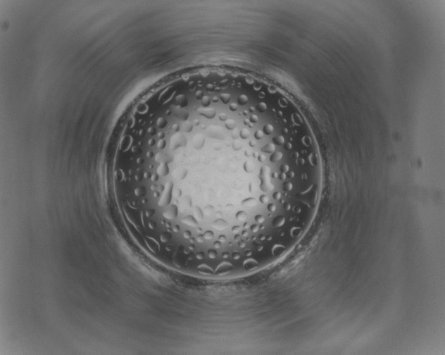 X0000072531032200607141157